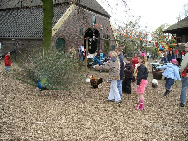 Foto De Vergert Duiven